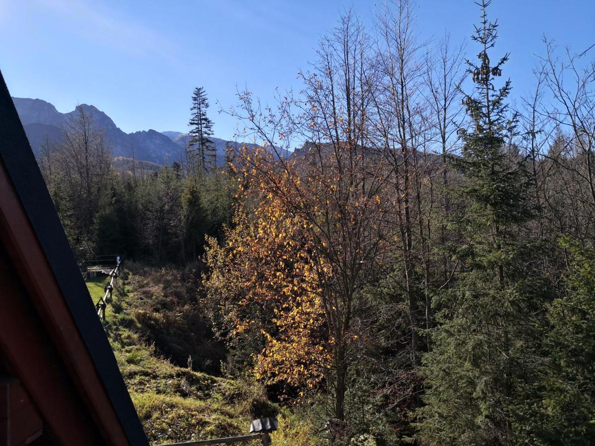 Willa Nika, Apartamenty Zakopane Exterior foto